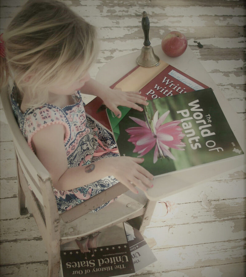 girl-in-chair-with-book1